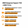 ИБП для котла Энергия Гарант 750 + Аккумулятор 75 Ач 12 В (450Вт - 91мин) - ИБП и АКБ - ИБП для котлов - . Магазин оборудования для автономного и резервного электропитания Ekosolar.ru в Долгопрудном